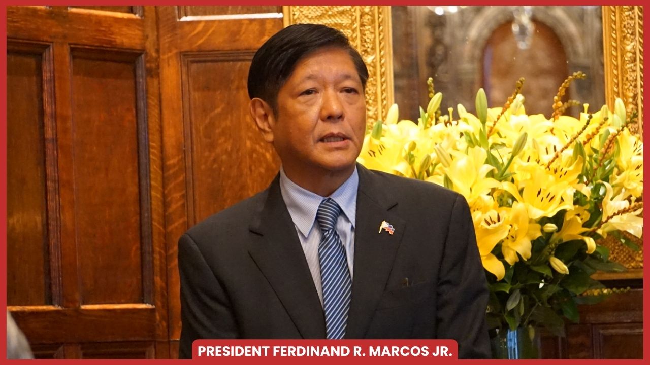 Roque: Bongbong Has No Case Of Human Rights Abuse